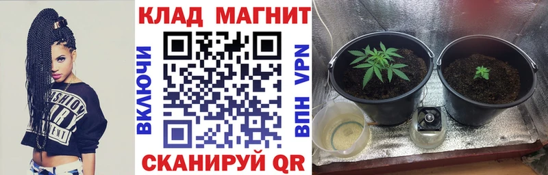 Наркота Пионерский ГАШ  КОКАИН  Меф  Канабис 