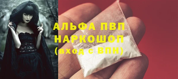 соль ск Белокуриха
