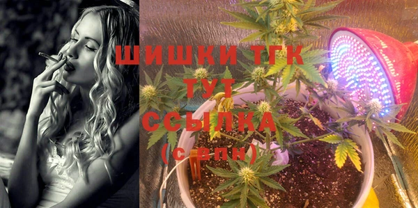 соль ск Белокуриха