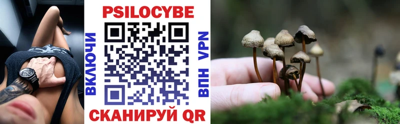блэк спрут маркетплейс  Пионерский  Псилоцибиновые грибы ЛСД 